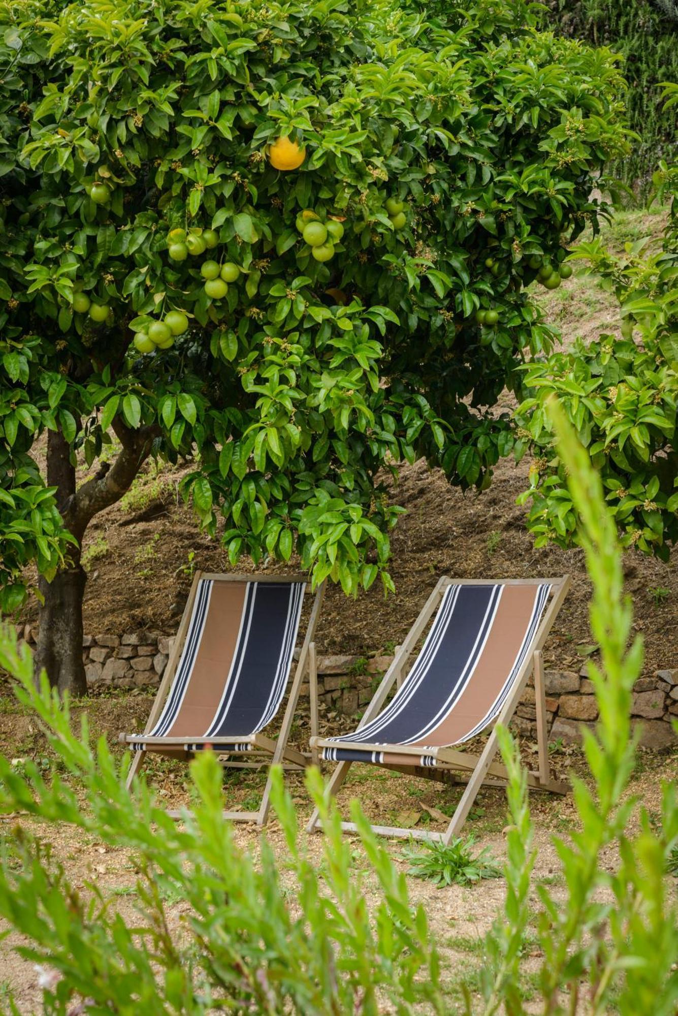 Terre De Maquis, Maison D'Hotes Vue Mer Corse Sari-D'orcino Luaran gambar