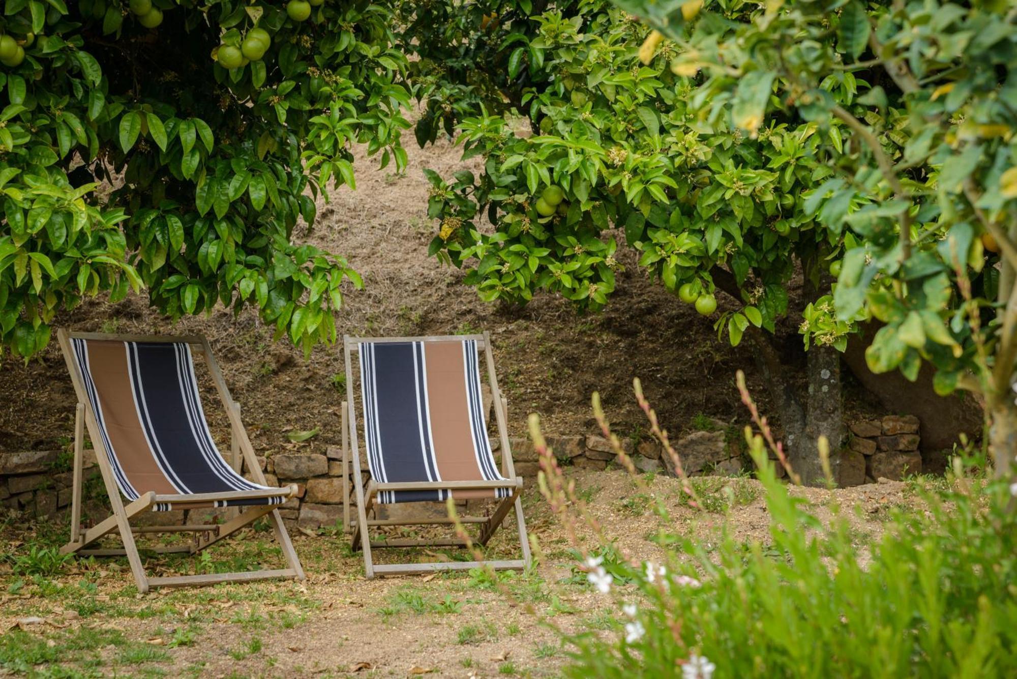 Terre De Maquis, Maison D'Hotes Vue Mer Corse Sari-D'orcino Luaran gambar